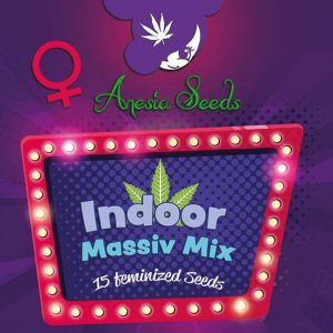 Anesia Seeds Indoor Massiv Mix