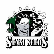 Puff and Stuff Sensi Seeds
